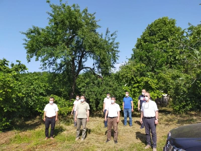 Ordu’da tüketilen Ordu’da üretilecek
