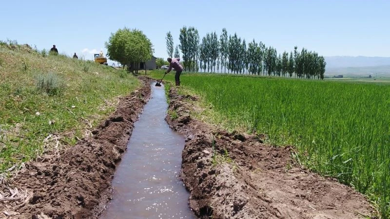 Erzurum’da 340 bin 290 dekar tarım arazisi sulanmaya başladı
