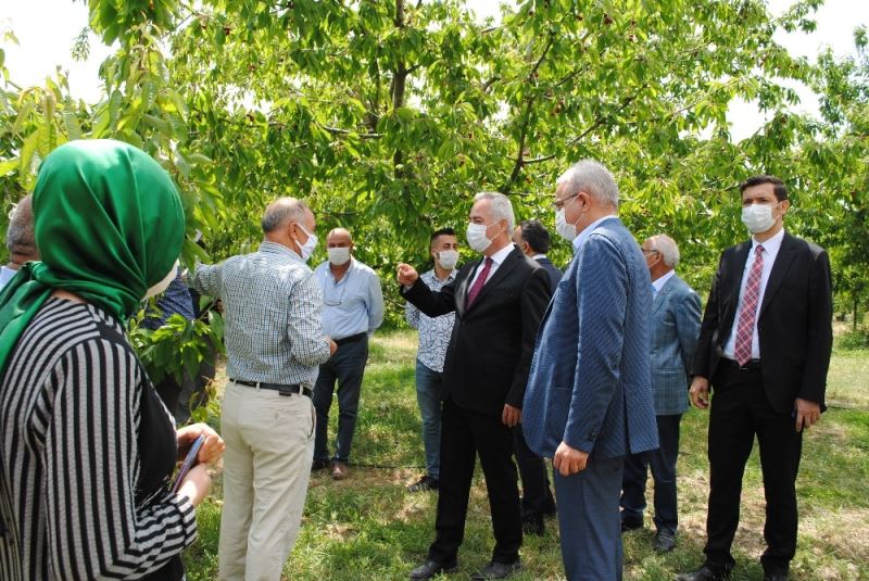 Vali Seymenoğlu, ANA FRUIT Tesislerini ziyaret etti
