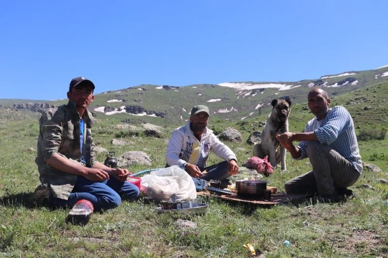 Çiftçiler bin bir zorlukla üretmeye devam ediyorlar
