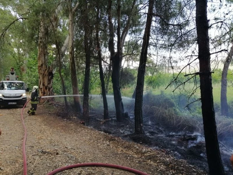 Alevlerin arasında kalan kirpiyi itfaiye eri kurtardı
