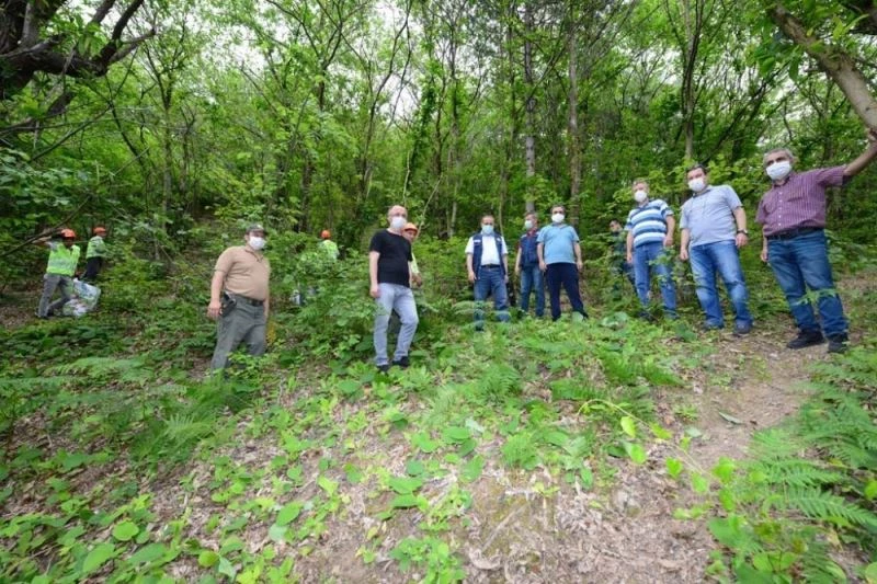 Kestane Gal Arısı ile mücadele çalışmaları yerinde incelendi
