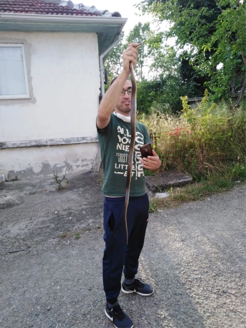 Kümesine giren 1,5 metrelik yılanı elleriyle yakaladı
