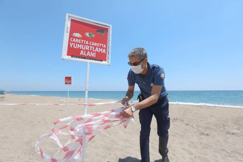 Mersin sahilinde carettaların yeni yumurtlama alanları bulundu
