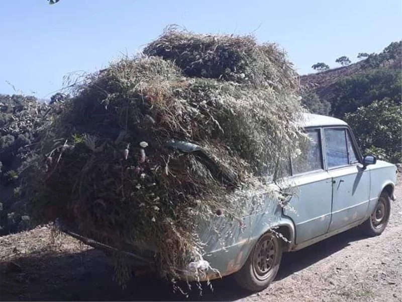 Bir zamanlar makam arabası idi, şimdi köylülerin eli ayağı oldu
