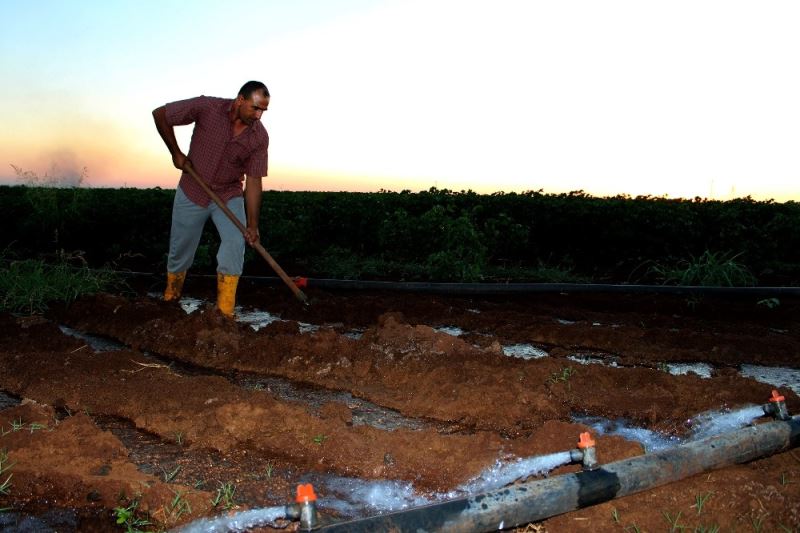 Dicle Elektrik’ten çiftçilere ‘Değişken Tarife’ önerisi
