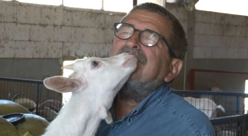 (ÖZEL) Şehir hayatından bunalınca 200 keçi ile yaşamaya başladılar
