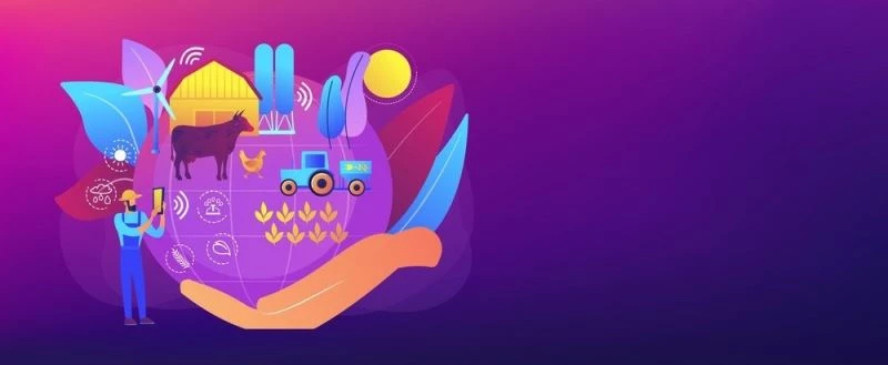 Nilüfer’de sağlıklı gıda ekosistemi hayat buluyor
