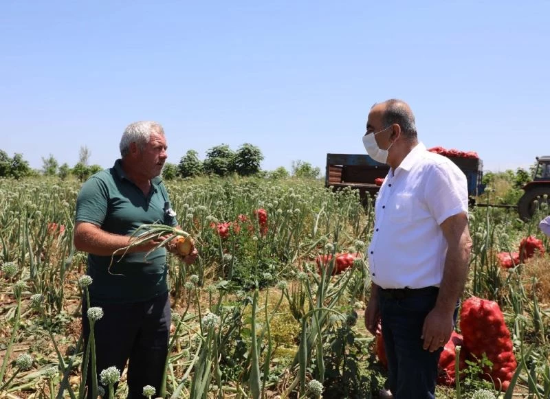 Mudanya Belediyesi çiftçiden aldığını ihtiyaç sahibine dağıtacak
