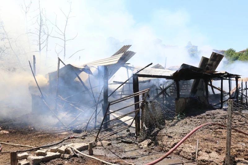 Aile içinde tartışmaya neden olan ahırı yaktı
