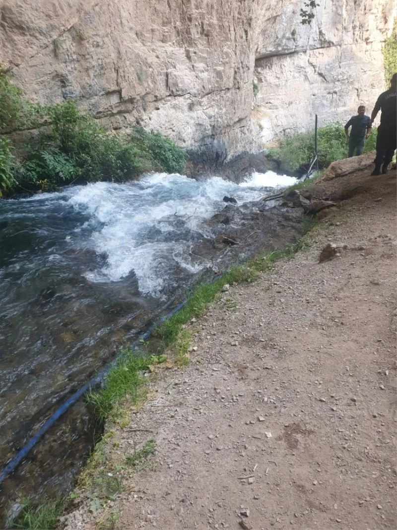 Dereye düşen Rana hayatını kaybetti
