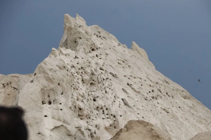 Kırlangıçlar yuva yaptığı kuma dokunmuyorlar
