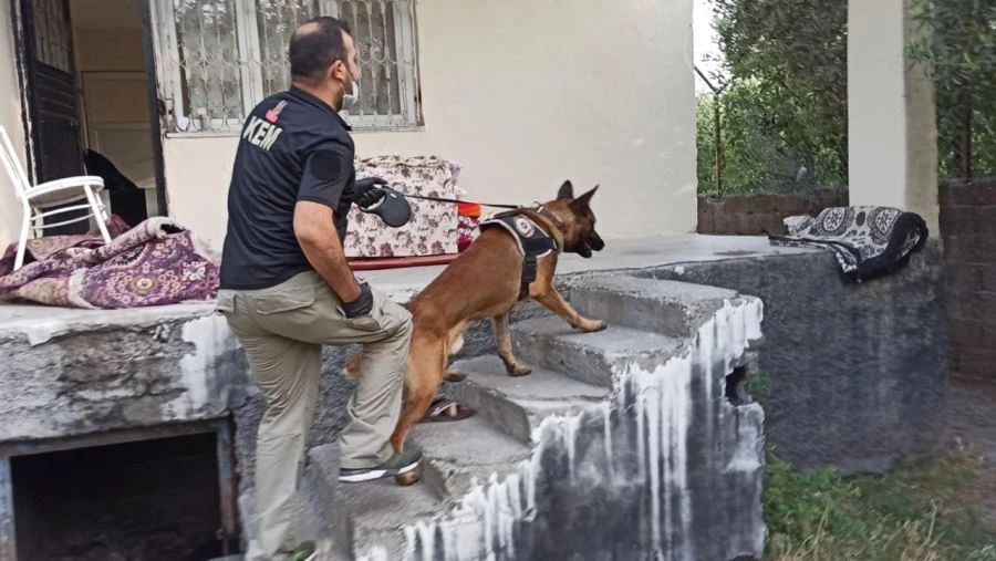 ÖZEL HAREKATLI, HAVA DESTEKLİ 