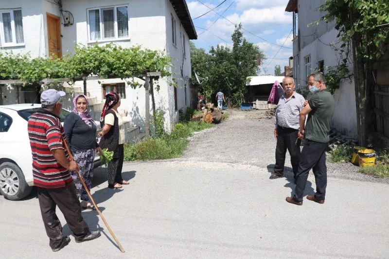 Bolu’da, girdikleri odunlukta doğum yapan tilkiler tavuk ve kedileri öldürdü
