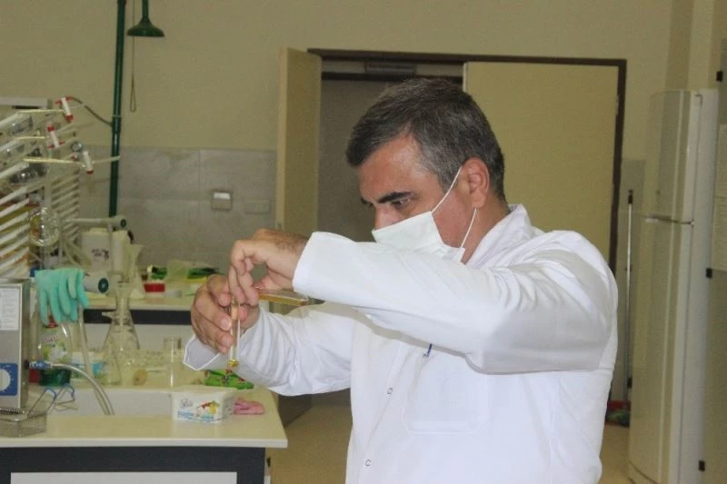 Türkiye’de ilk kez Kilis zeytinyağında Omega-7 yağ asidi bulundu
