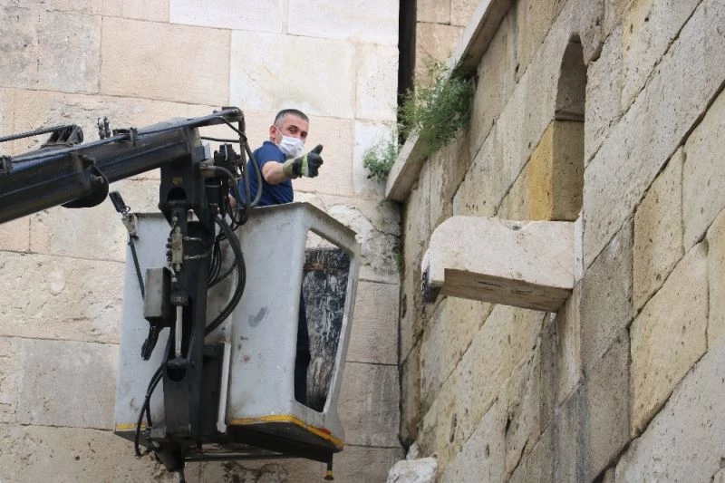 Tarih otlarından arındırıldı
