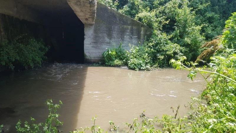 İznik Gölü’ne karışan derenin rengi siyaha döndü
