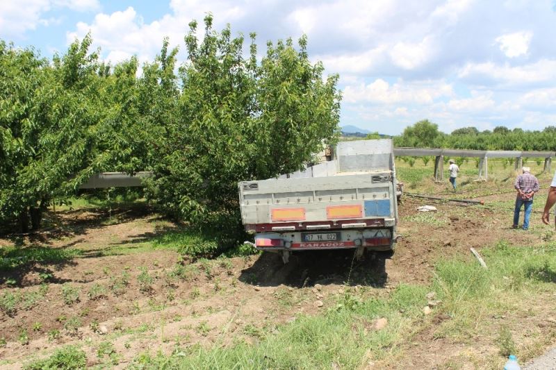 Direksiyonu kilitlenen TIR kiraz bahçesine girdi
