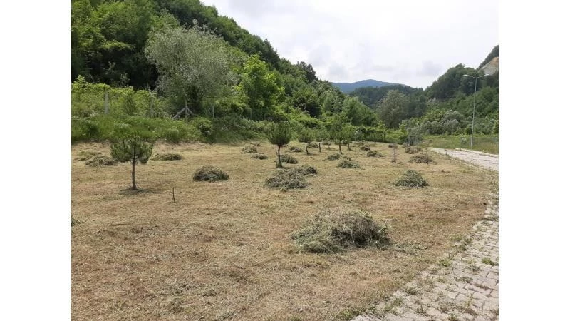 Arıtma tesisi çevresine düzenleme
