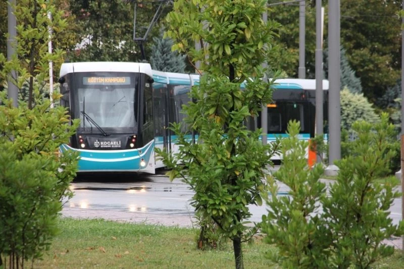 Akçaray 3 yaşında
