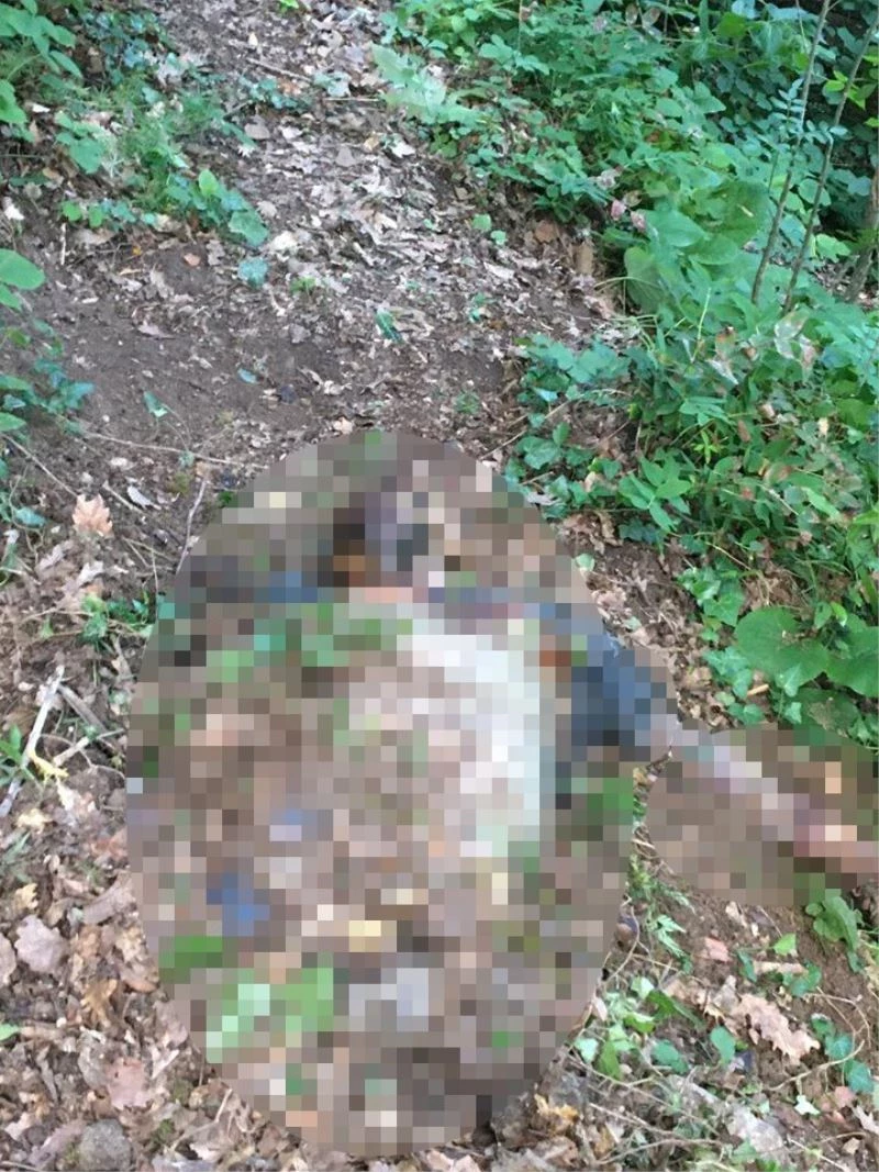 İntihar eden arkadaşının cesedini ormana götürüp bırakmış
