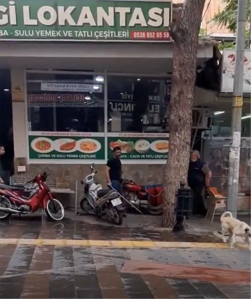 Sokak köpeğini sopayla döven adama 392 TL ceza
