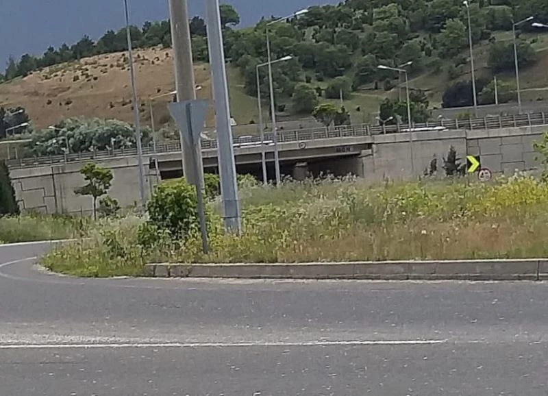 Refüjlerde yükselen otlar sürücülerin görüş açısını daraltıyor
