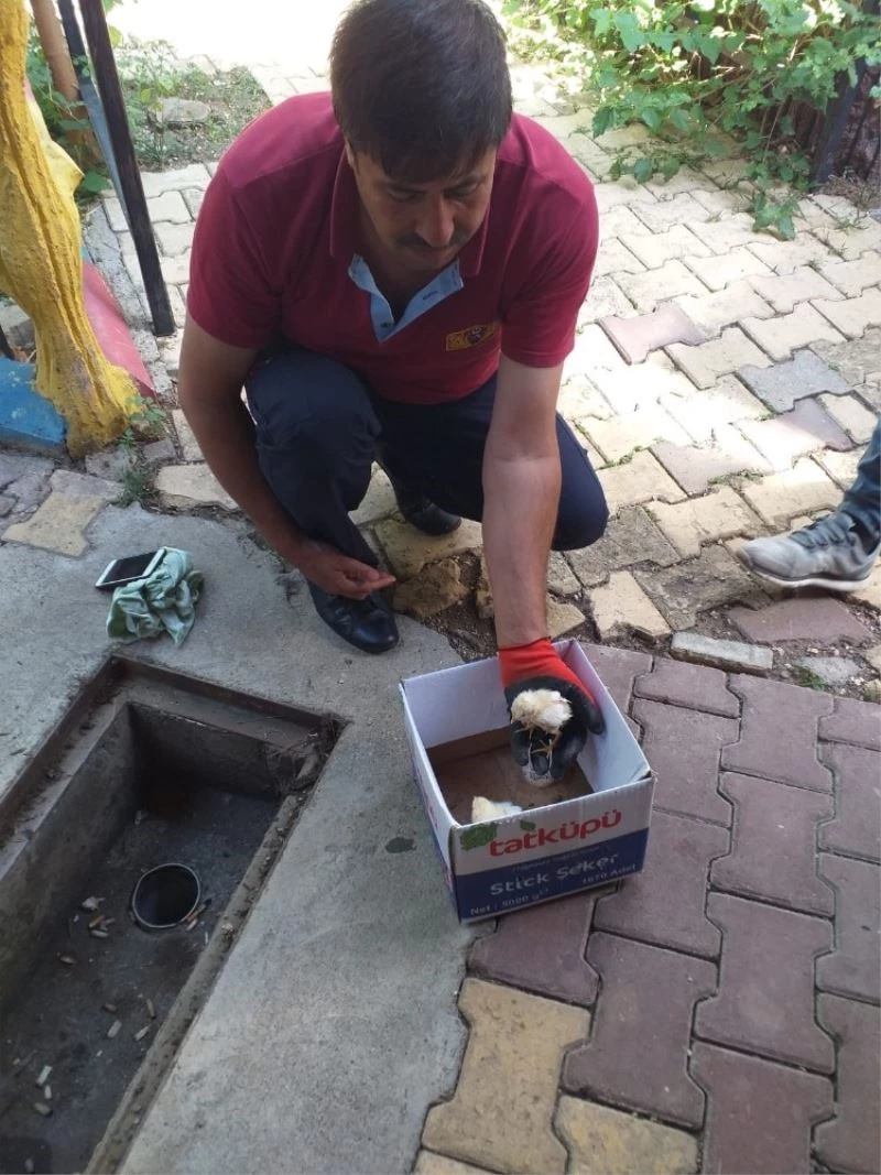 Boru içerisinde sıkışan civciv kurtarıldı
