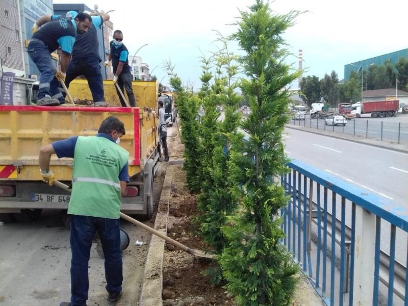 Dilovası Eynerce Kavşağı yeşillendiriliyor
