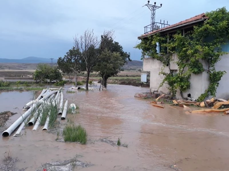 Sağanak yağış çeltik tarlalarını vurdu
