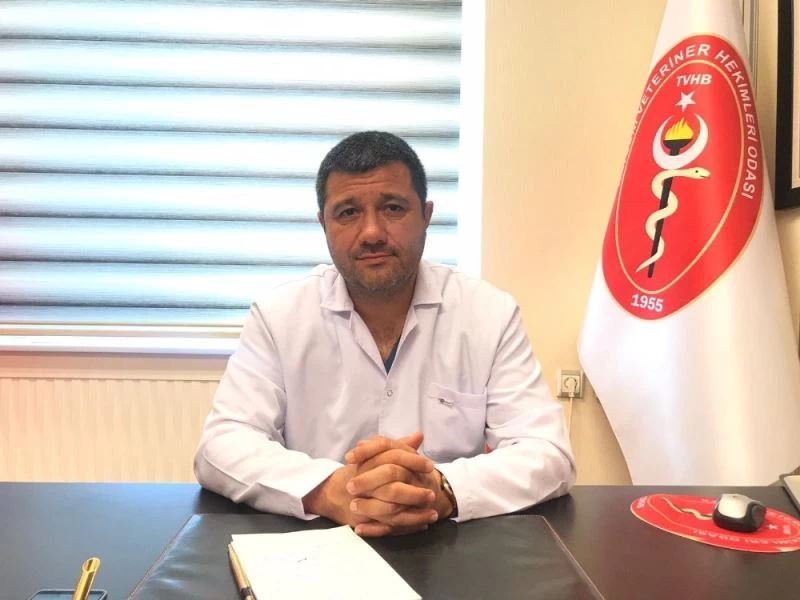 Akgün Ergül: “Kükürt kokusu sarıkız örümceklerini daha agresif hale getiriyor”
