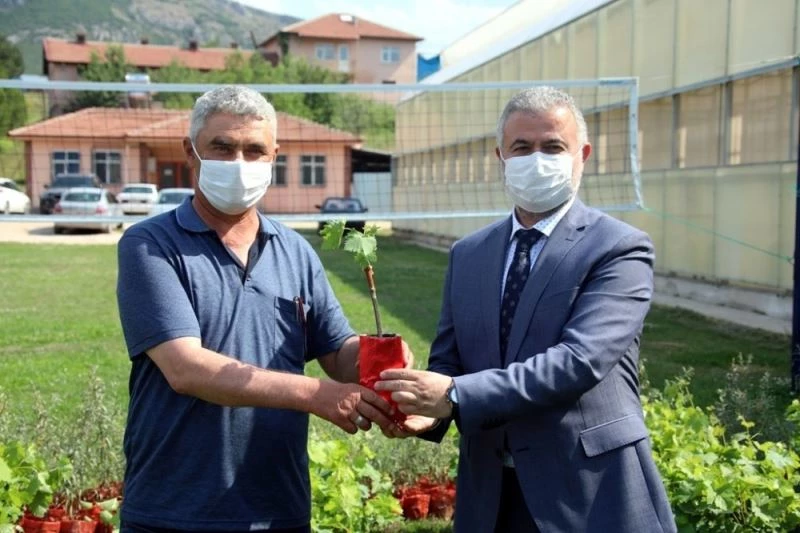 Tokat’ta 13 bin tüplü asma fidanı üretici ile buluştu
