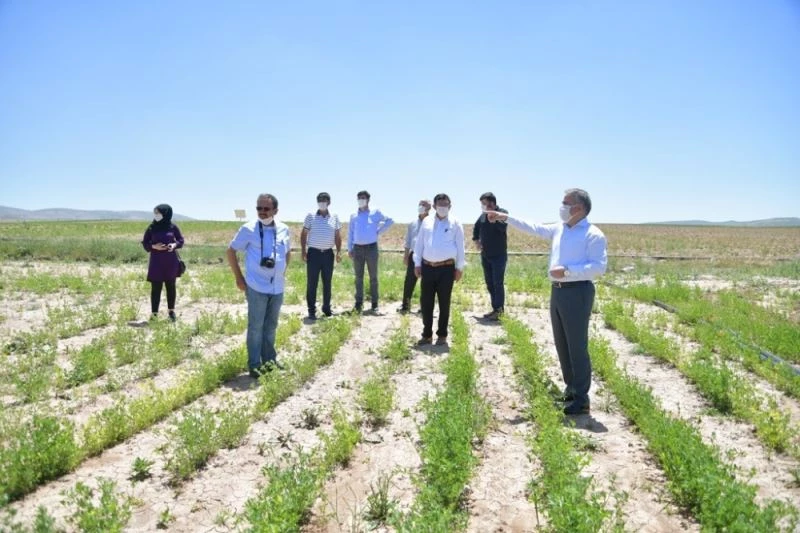 Yerli ve Milli Tohumun Ulaşamadığı Çiftçi Kalmayacak
