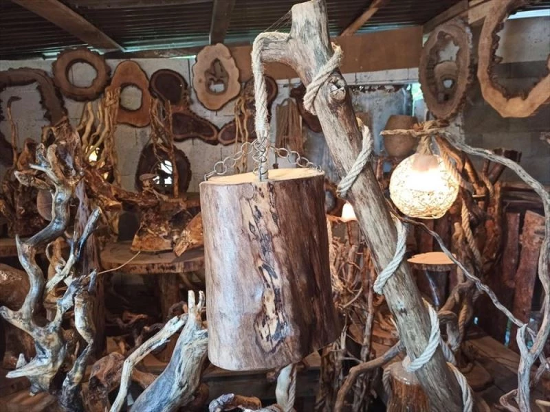 Kurumuş ağaç kökleri usta elinde sanat eserine dönüşüyor