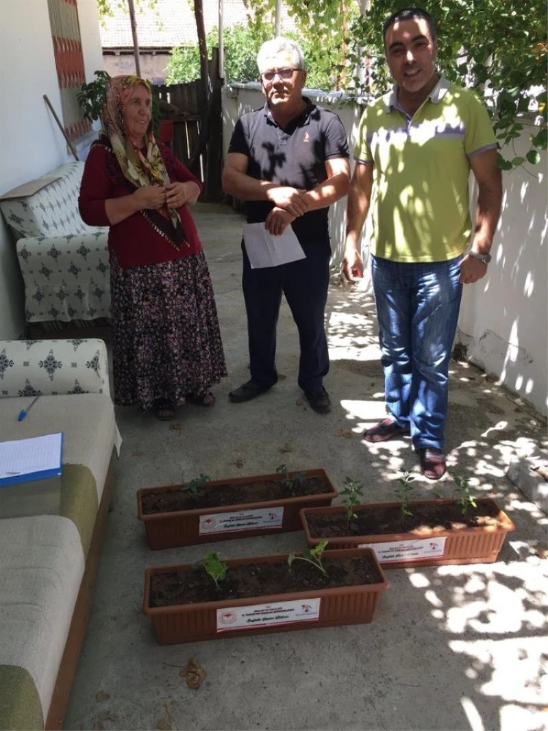 Taze sebzeni balkonda üret projesi
