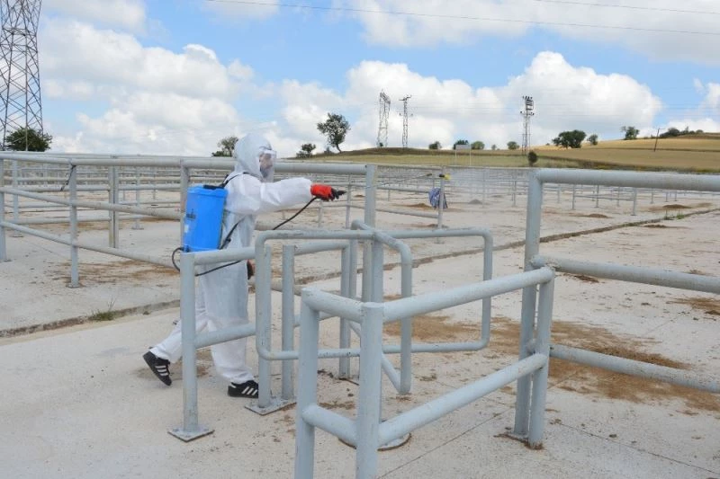 Özdemir: “Canlı hayvan pazarlığı tokalaşarak yapılamayacak”
