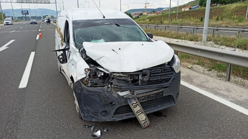 Kamyonet ineğe çarptı
