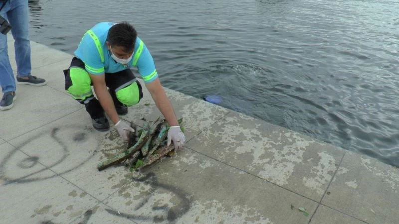 Tuzla’da atık problemine dikkat çekmek için denizden çuvallarla atık çıkarıldı
