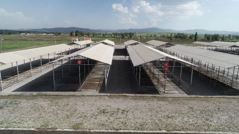 Şarkışla hayvan pazarı geçici olarak kapatıldı
