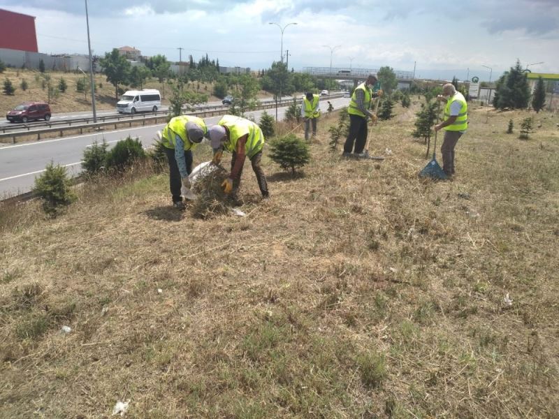 Gebze’de D-100 ve otoyol kenarlarında temizlik yapıldı
