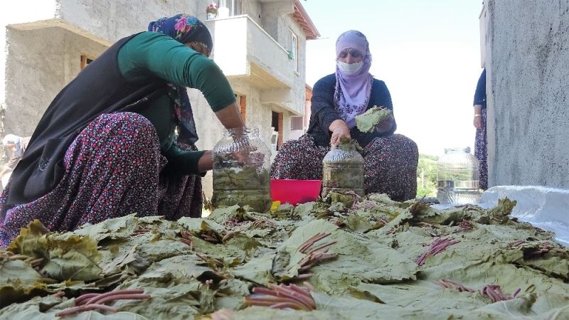 Tarladan sofraya bağ yaprağının zahmetli yolculuğu
