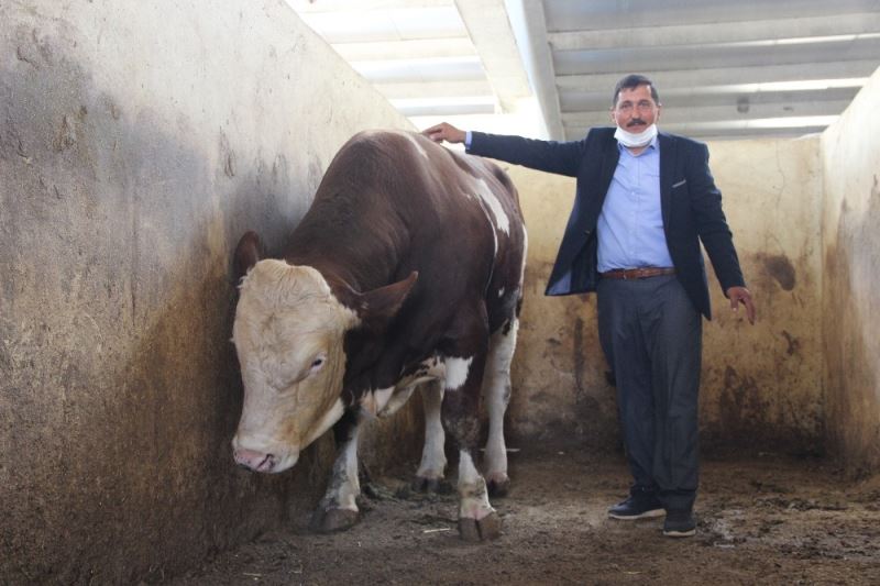 Köyüne kurduğu çiftlikte kazandığı para dudak uçuklatıyor
