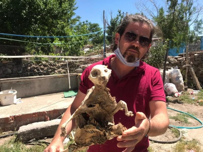 Bilim kurgu filminden değil kömürlükten çıktı
