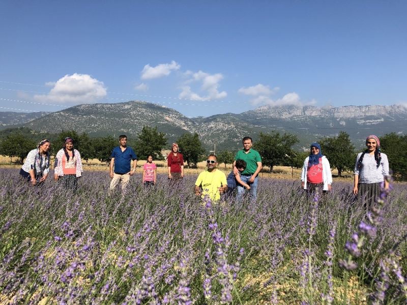 Kadınlar hayallerinin peşinden koştu, köy lavanta bahçesine dönüştü
