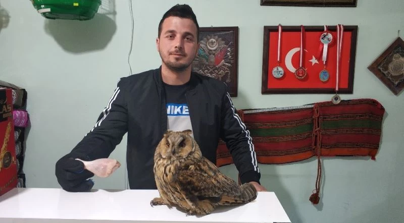 Dükkânına biri taş attı zannetti, sebebini öğrenince çok şaşırdı

