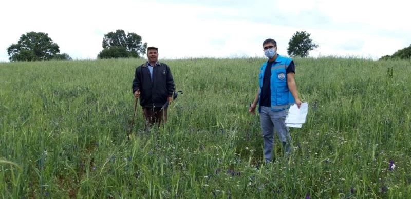 Şaphane’de hayvanların aşı ve küpeleme çalışmaları
