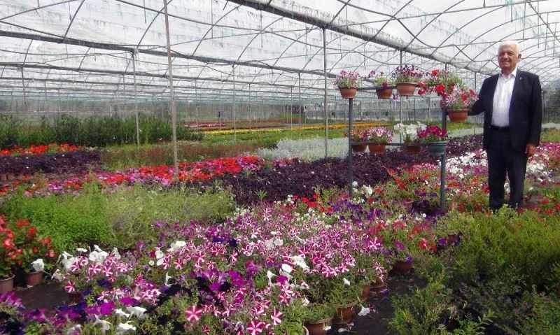 Muğla yerel tohumdan sonra çiçek üretim merkezi oluyor
