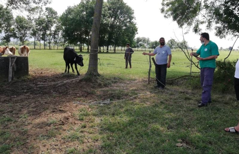 Sahibinden kaçan kurbanlığı Kartepe kurban timi yakaladı
