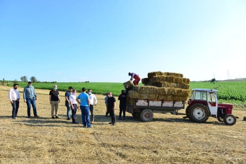 Belediyenin tarlalarından üreticilere yem bitkisi
