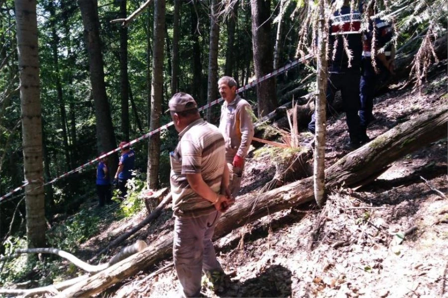 ÜZERİNE TOMRUK DÜŞEN İŞÇİ HAYATINI KAYBETTİ